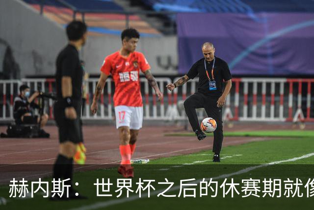 赫内斯：世界杯之后的休赛期就像被迫在奶酪上放蜡烛